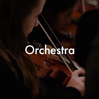 Orchestra 